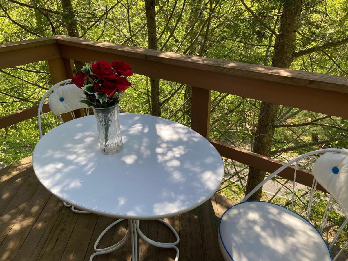 Saw Creek Cabin - Regent Hilltop Bushkill Eksteriør bilde