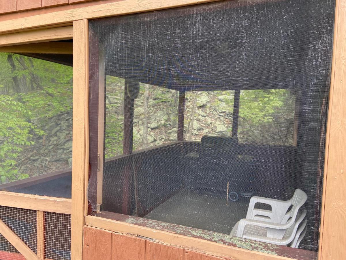 Saw Creek Cabin - Regent Hilltop Bushkill Eksteriør bilde